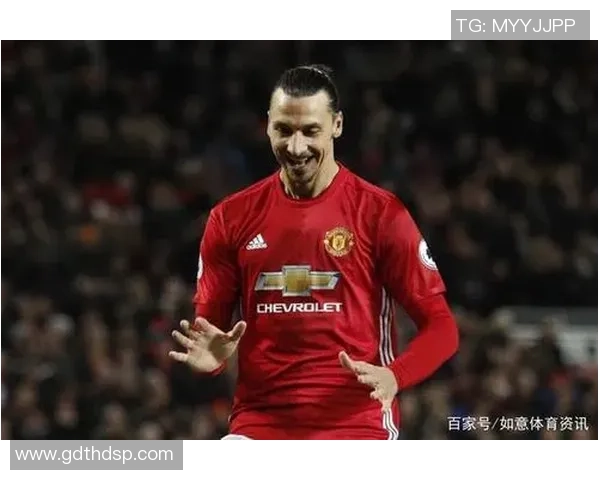 足球明星龟的成长传奇与赛场奇迹揭秘